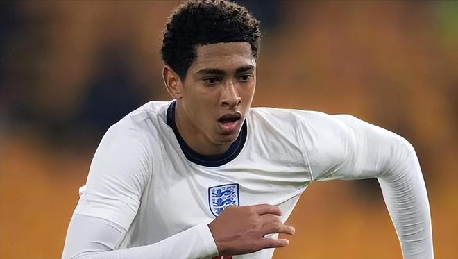 树处理小样 树处理小样