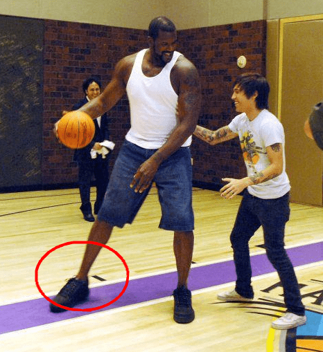 缘的波动 缘的波动