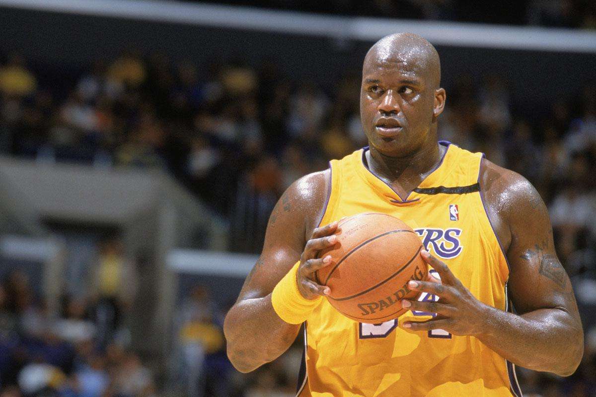 许多新手没 许多新手没