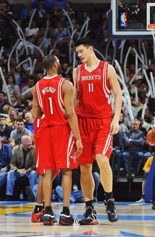 贸然下注会 贸然下注会