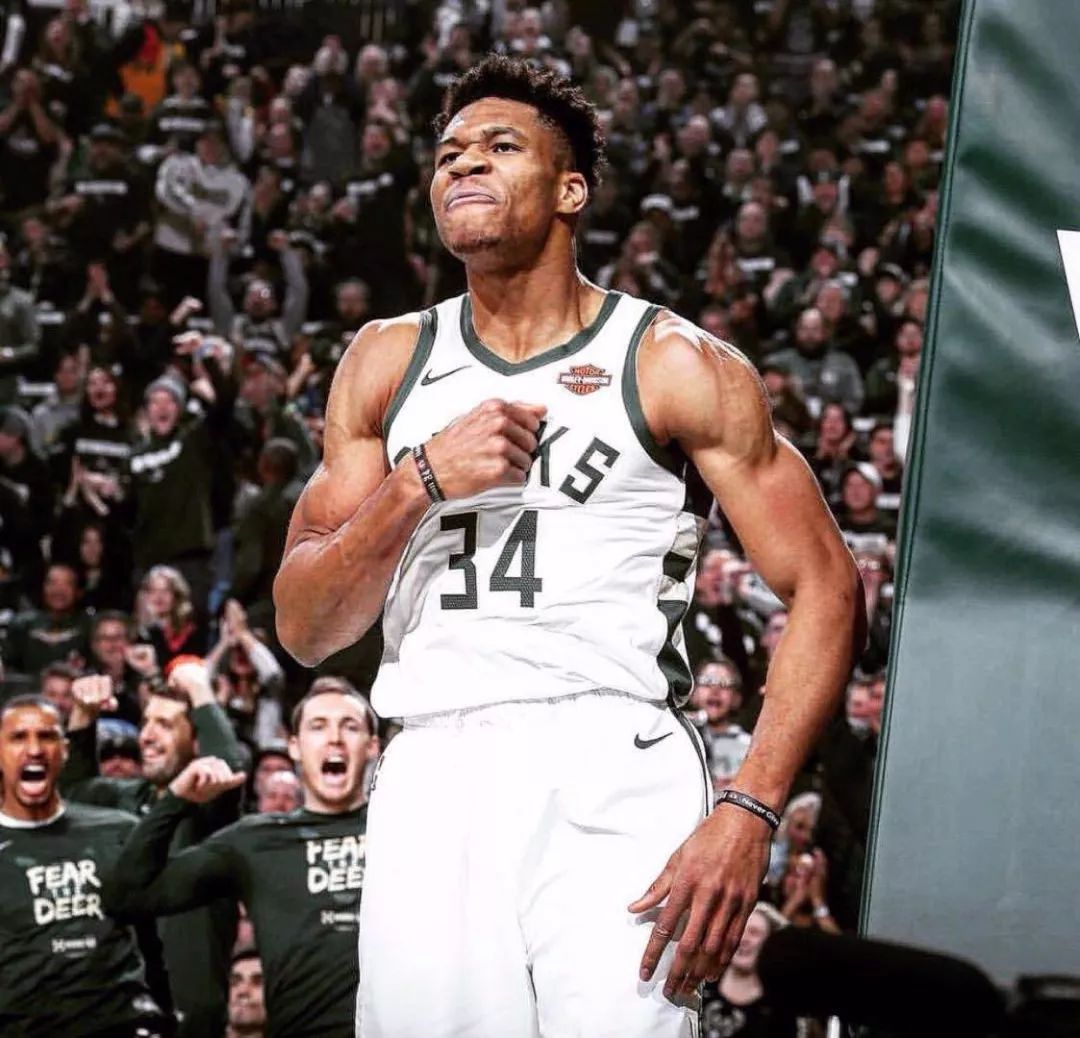 生态循环 生态循环